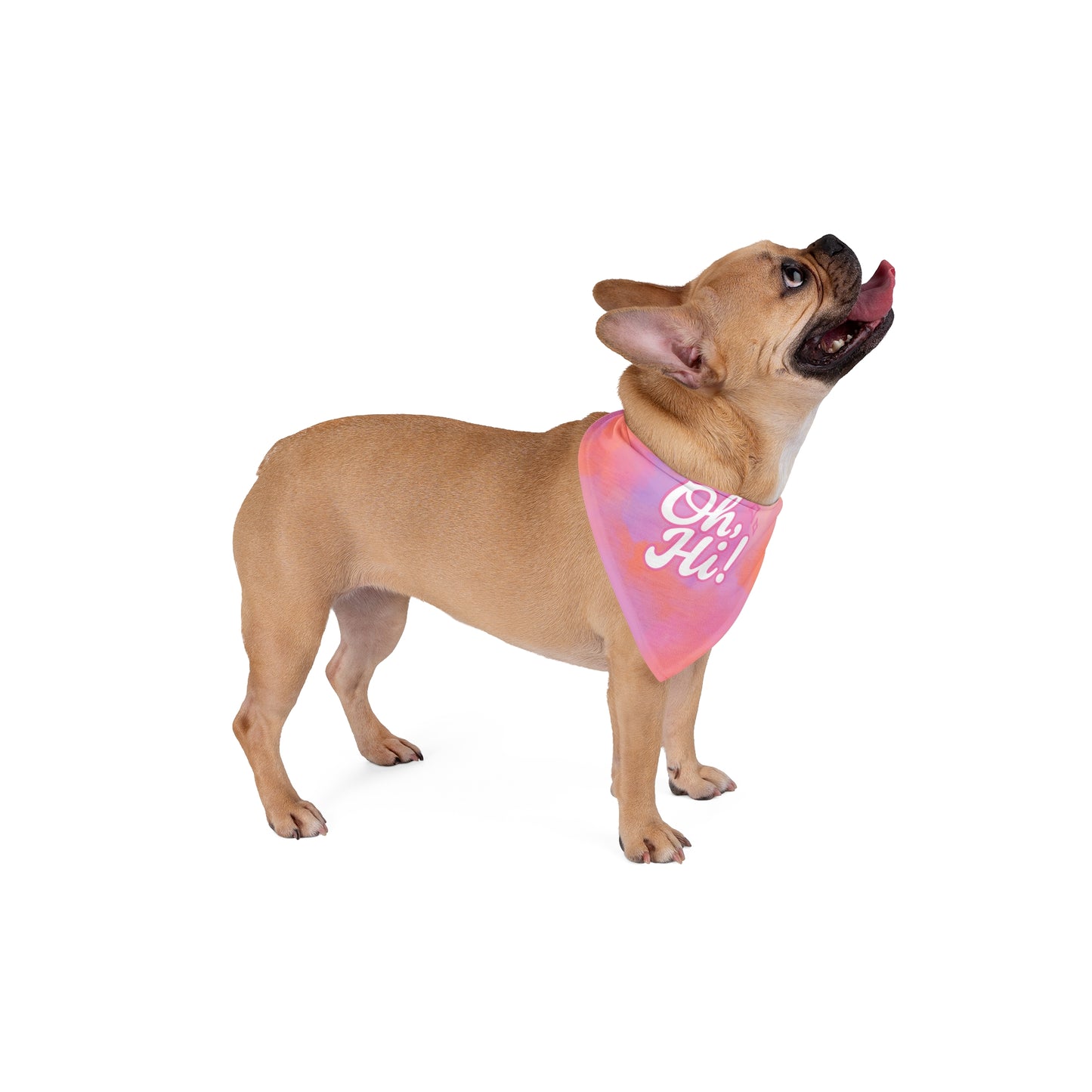 Oh, Hi! Dog Bandana