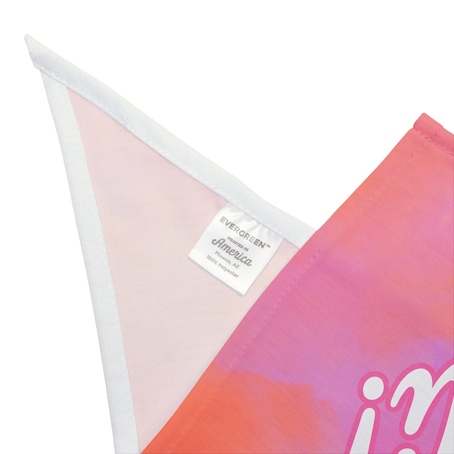 Oh, Hi! Dog Bandana