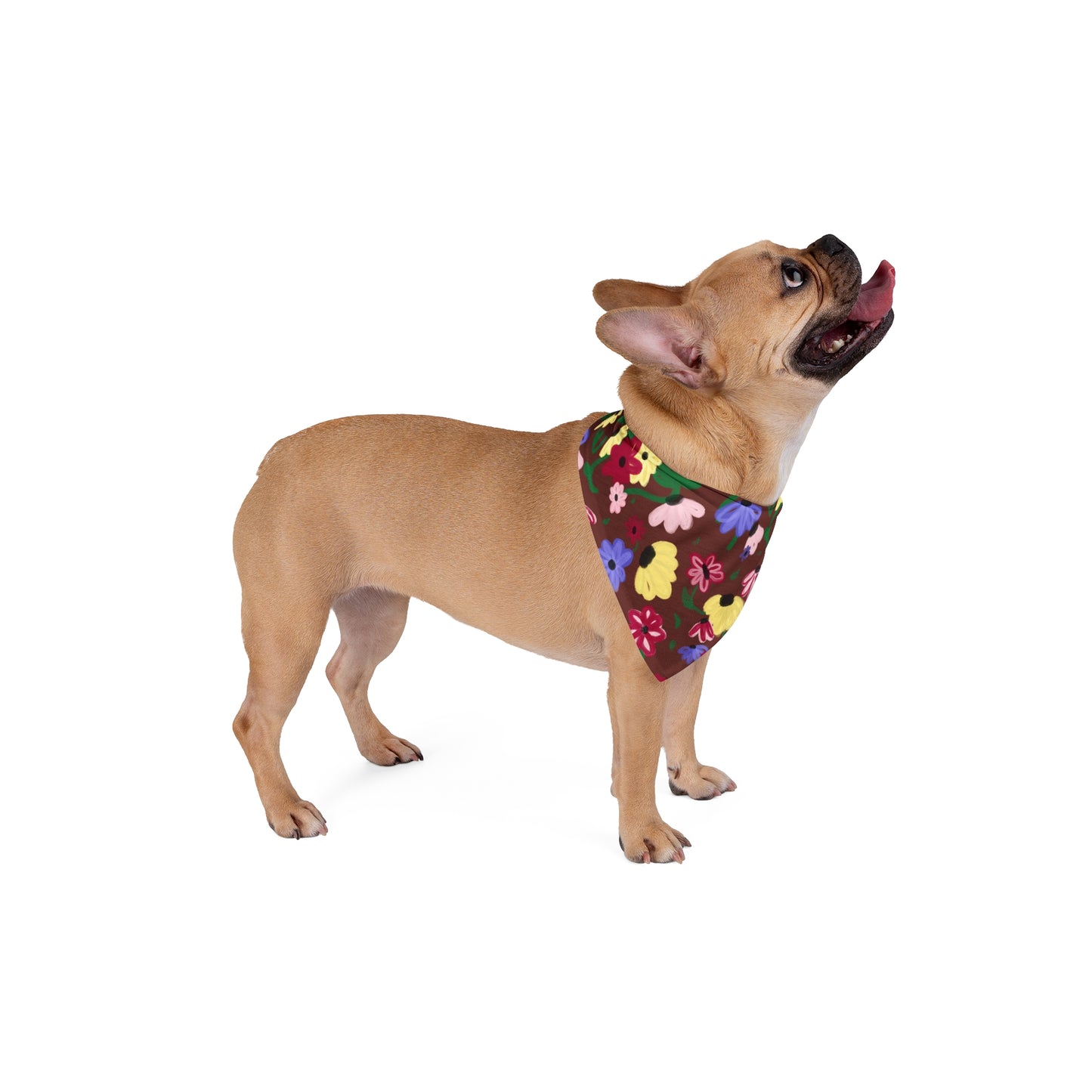 Acoustic Set Pet Bandana
