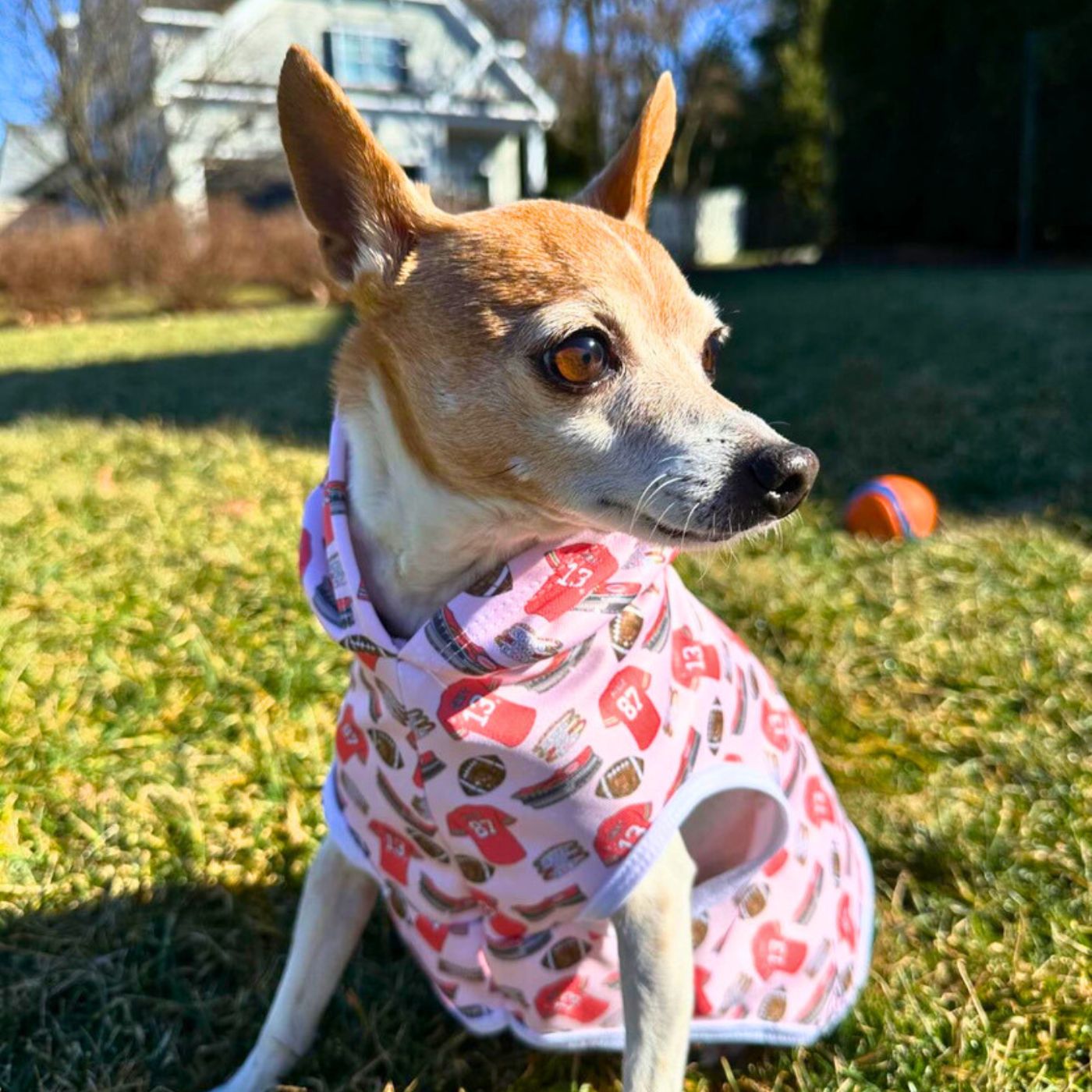 Football Era Pet Hoodie