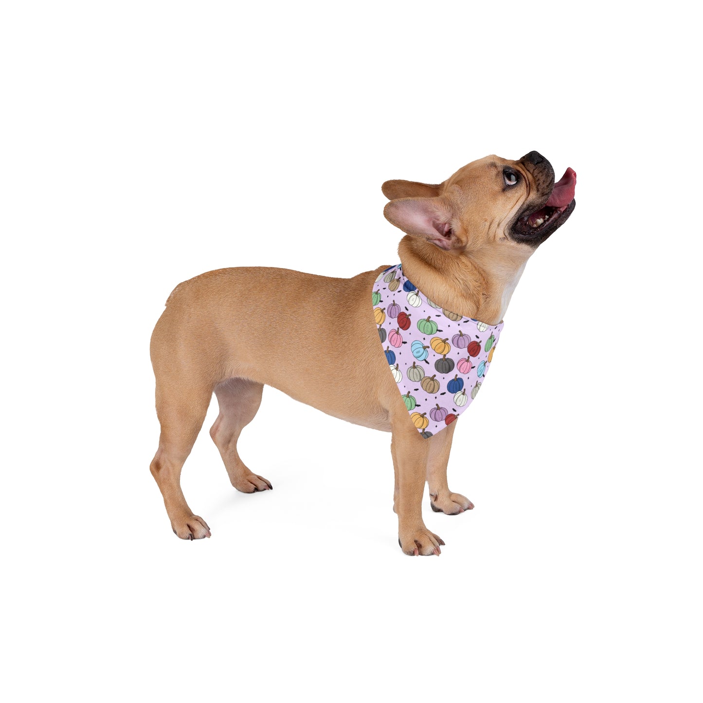 Eras Pumpkins Pet Bandana