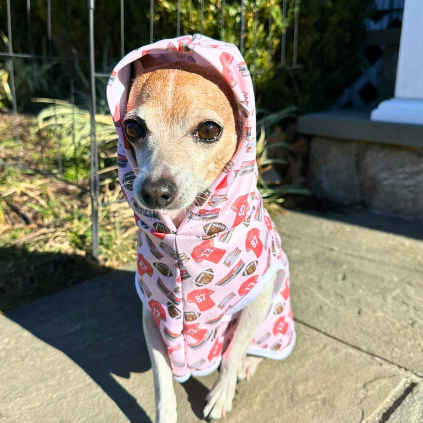 Football Era Pet Hoodie