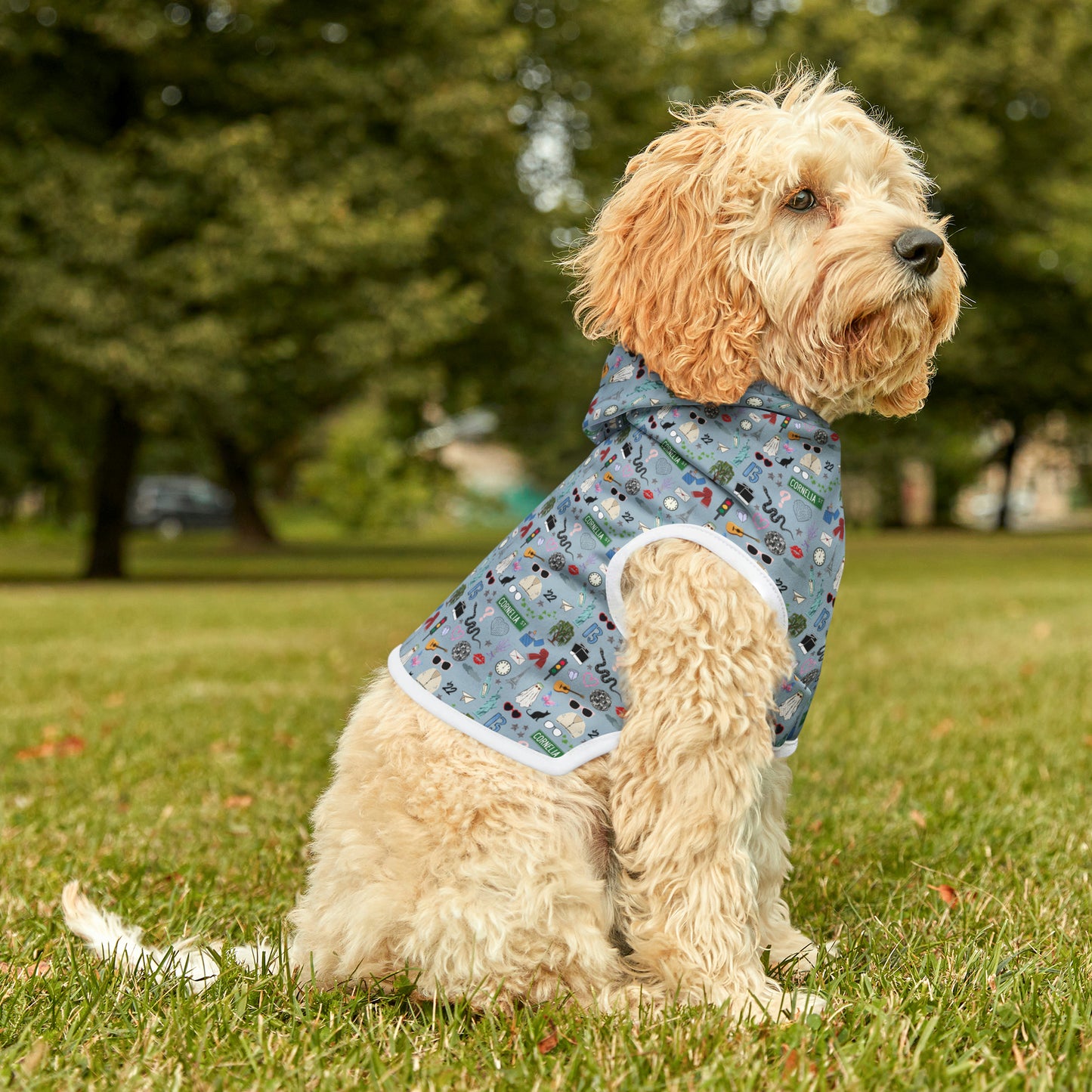 Iconic Eras Pet Hoodie -1989 Blue