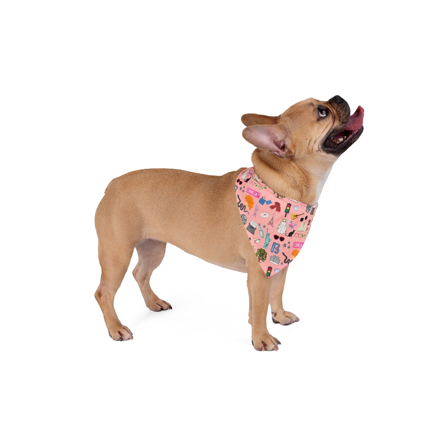 Iconic Era Pet Bandana - Showgirl Rouge
