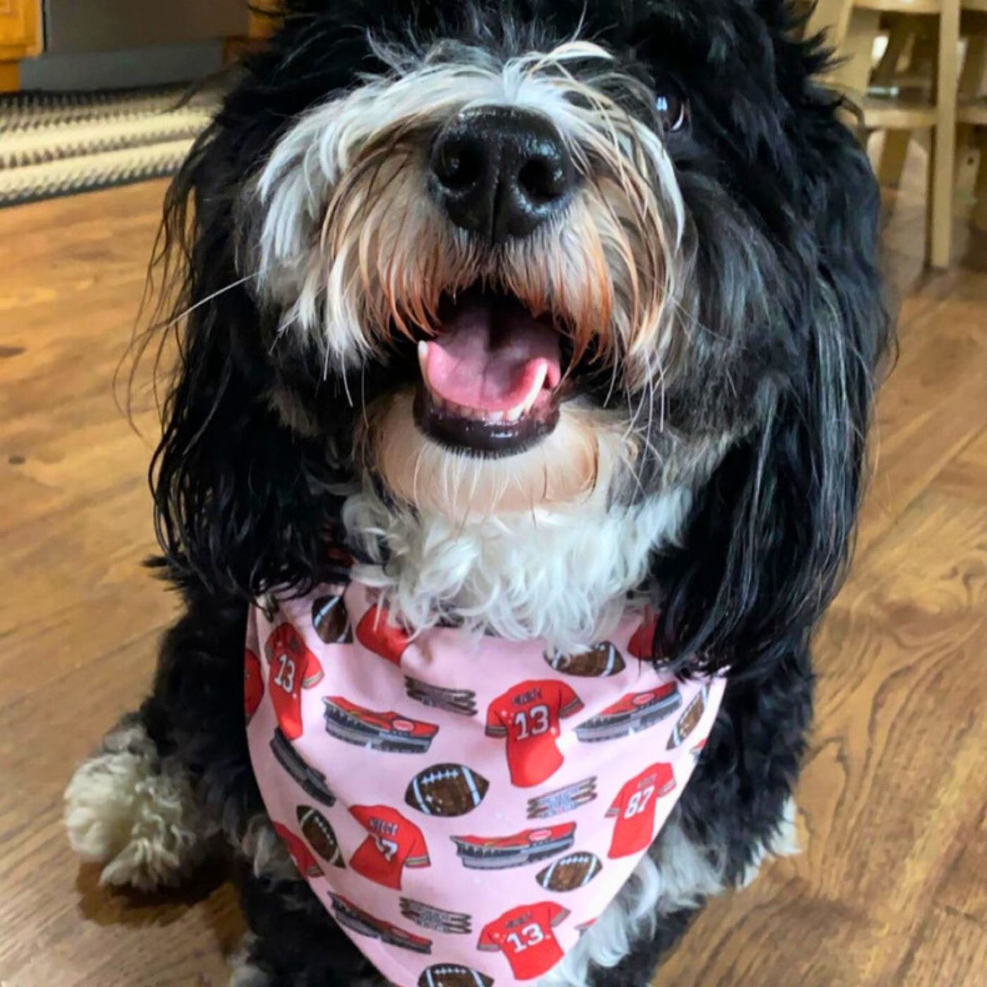 Football dog bandana best sale