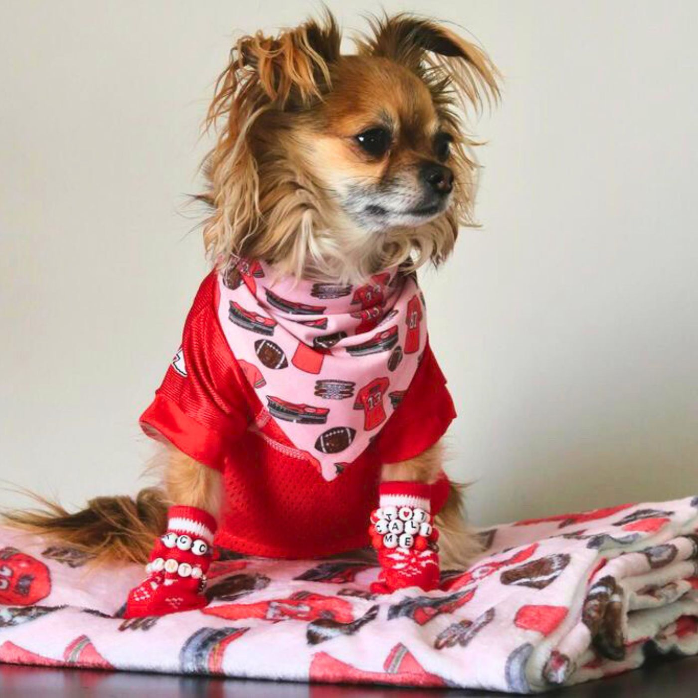 Football Era Pet Bandana