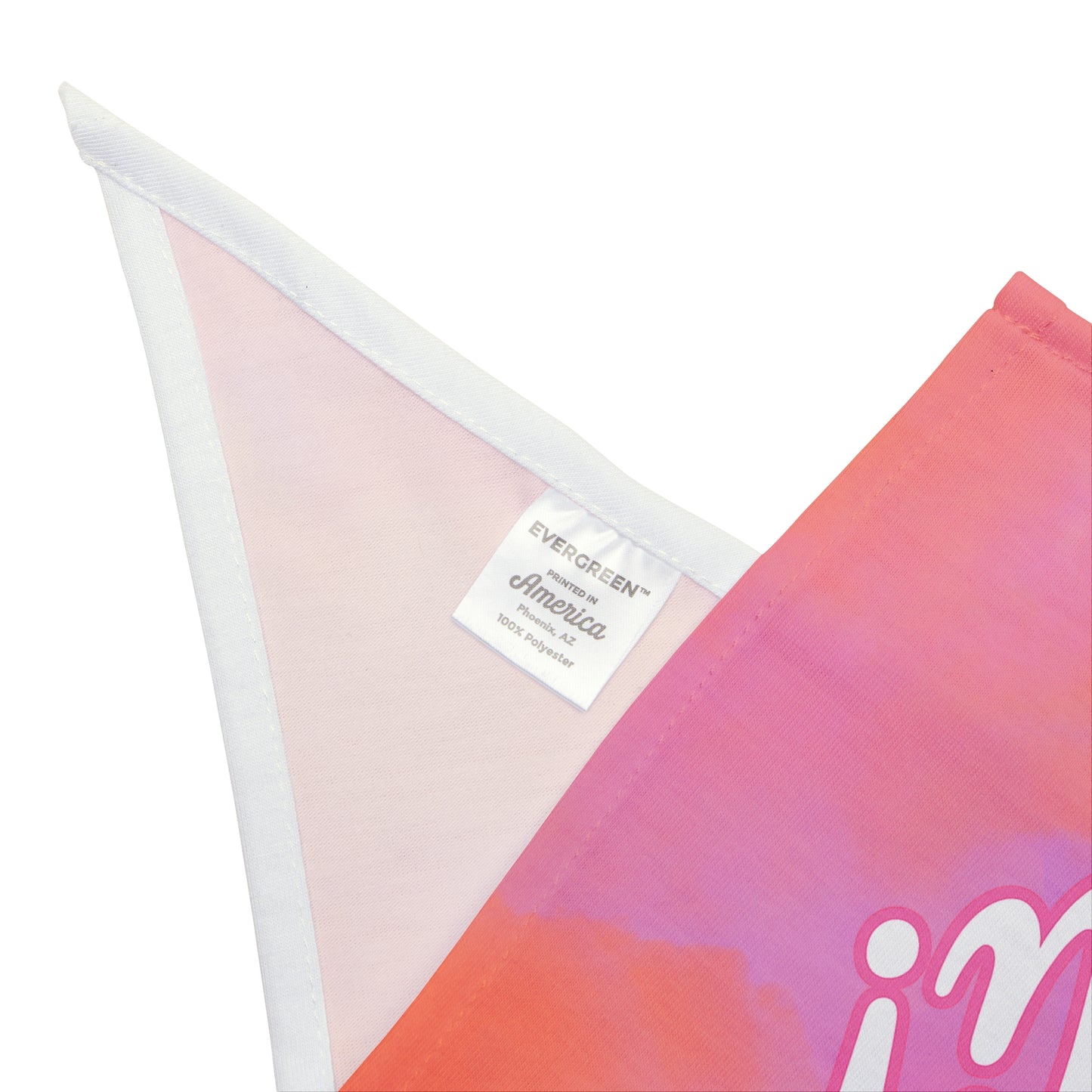 Oh, Hi! Dog Bandana