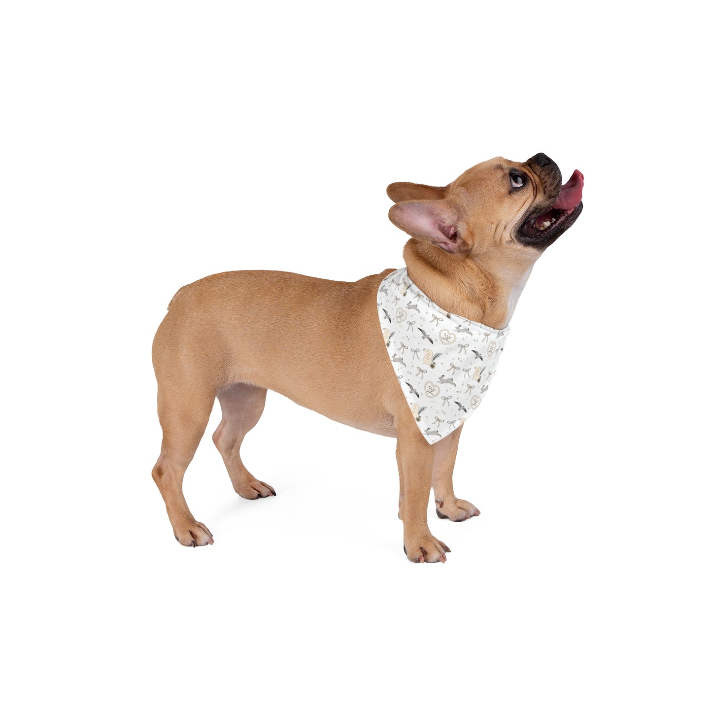 Love and Poetry Pet Bandana