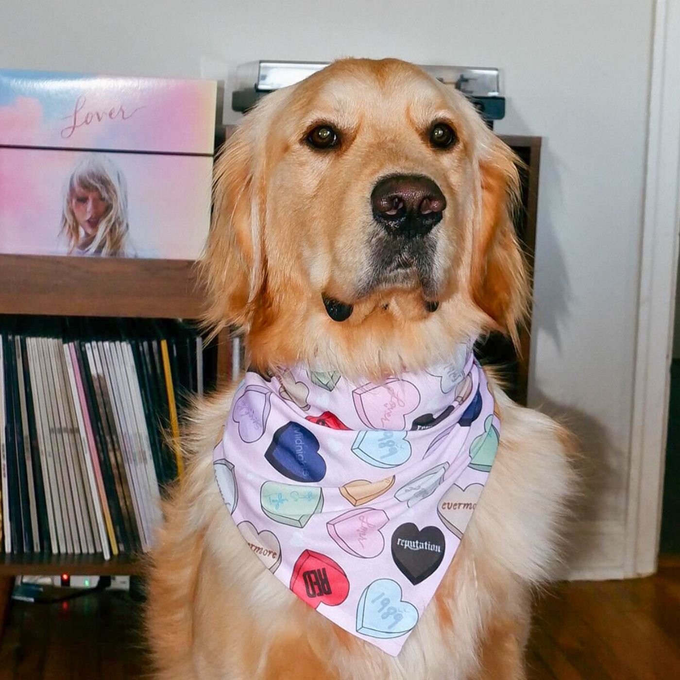 Sweetheart Era Pet Bandana