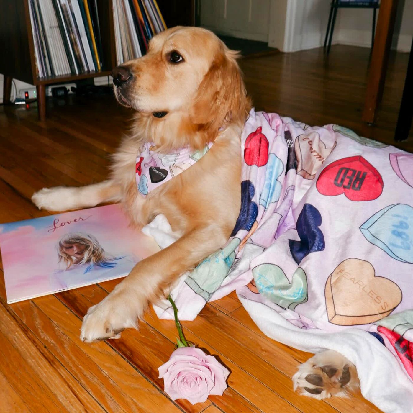 Sweetheart Era Velveteen Plush Blanket