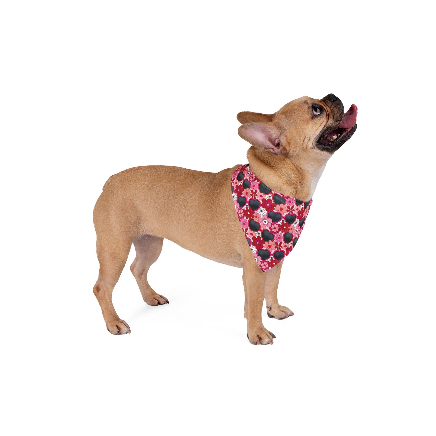 Red Heart Sunglasses Pet Bandana